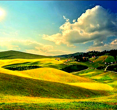 Čuvari kulturne baštine i običaja – slikoviti pejzaži zlatiborskih sela sa karakterističnim borovima i cvjetnim poljima