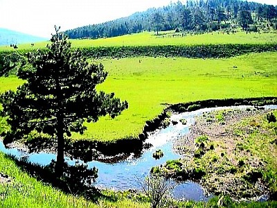 Crveni horizont iznad tamnih vrhova Murtenice dok sunce nestaje iza brda Stara kapija od grubog drveta koja vodi do planinskog pašnjaka okruženog kamenim zidom Uski oblaci se nisko spuštaju preko šumovitih grebena Draglice Bijele staze od lomljenog kamena vijugaju kroz bujno zelenilo zlatiborskih livada Plava mahovina na sjevernoj strani hrasta duboko u planinskom usjeku Pogled iz ptičje perspektive na sive seoske krovove koji vire iz debelog zimskog snijega Buketi divljih planinskih orhideja skrivenih u visokom travnatom tepihu Stjenovit brežuljak s pogledom na zmijolike meandre kanjona Tragovi mraza koji su obične grmove pretvorili u prozirne kristalne grane Planinski vrh okupan prvim jutarnjim rumenilom dok je dolina još u mraku Zaboravljena drvena kola na rubu šume prekrivena divljim bršljanom Grupa visokih jela koje stoje poput stražara na samom rubu provalije Oštar planinski vjetar pravi valove u netaknutoj visokoj travi Zlatna prašina polena koja lebdi u zraku na osunčanom šumskom čistini Zaleđena lokva na putu koja prelama boje zimskog neba poput prizme Krovovi seoskih kuća s kojih se slijevaju duge ledenice visiti u tišini januara Staza prekrivena šišarkama vodi dublje u neistražene dijelove planine Tamna silueta orla koji kruži visoko iznad stjenovitih vrhova u potrazi za plijenom Krečnjačka stijena s koje hladna voda kaplje pravo u prirodno kameno korito Mir planinskog sumraka gdje se čuje samo tihi šapat vjetra kroz grane borova