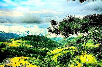 Zlatibor u prošlosti – historijski prikaz planinskog odmarališta i prirode kakva je izgledala prije mnogo godina Crveni horizont iznad tamnih vrhova Murtenice u trenutku kada sunce nestaje iza brda Stara kapija od neobrađenog drveta koja vodi do planinskog pašnjaka okruženog kamenim zidom Uski oblaci koji se nisko spuštaju preko šumovitih grebena Draglice Bijele staze od lomljenog kamena vijugaju kroz bujno zelenilo zlatiborskih livada Plava mahovina na sjevernoj strani hrasta duboko u planinskom usjeku Pogled iz ptičje perspektive na sive seoske krovove koji vire iz debelog zimskog snijega Buketi divljih planinskih orhideja skrivenih u visokom travnatom tepihu Stjenovit brežuljak s pogledom na serpentinske meandre u kanjonu Tragovi mraza koji su obične grmove pretvorili u prozirne kristalne grane Planinski vrh okupan prvim jutarnjim rumenilom dok je dolina još u mraku Zaboravljena drvena kola na rubu šume prekrivena divljim bršljanom Grupa visokih jela koje stoje poput stražara na samom rubu jaruge Oštar planinski vjetar koji stvara valove u netaknutoj visokoj travi Zlatna prašina polena koja lebdi u zraku na osunčanoj šumskoj čistini Zaleđena lokva na putu prelamajući boje zimskog neba poput prizme Krovovi seoskih kuća s kojih vise duge ledenice u tišini januara Staza prekrivena šišarkama koja vodi dublje u neistražene dijelove planine Tamna silueta orla koji kruži visoko iznad stjenovitih vrhova u potrazi za plijenom Krečnjačka stijena s koje hladna voda kaplje pravo u prirodno kameno korito Mir planinskog sumraka gdje se čuje samo tihi šapat vjetra kroz grane borova