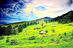 Vjetar tjera oblake preko ruba planinskog lanca u pozadinu Guste paprati koje u potpunosti prekrivaju šumsko tlo pod stoljetnim bukvama Suha zlatiborska trava šušti pod koracima na otvorenom polju Tišina planinskog vrha, samo povremeno prekidana graktanjem vrana Odsjaj sunca na metalnom krovu udaljene kolibe usred zelenog prostranstva - Polja planinskih nevena njišu se na vjetru poput bijelog pamuka Ogromne kamene ploče naslagane jedna na drugu na vrhu gole čistine Duboke jaruge u crvenoj zlatiborskoj ilovači nakon jake ljetne oluje Borovi sa uvijenim deblima prate smjer dominantnih vjetrova Rub šume gdje se tamnozeleni četinari miješaju sa jarko žutim listovima breze Pogled na Tornik sa susjednog brda dok žičara probija planinsku tišinu Velike kapi rose na listovima divljih jagoda skrivenih u visokoj travi