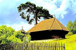 Grane srebrne breze u kontrastu s tamnim i teškim krošnjama borova Zaleđena površina jezera puca pod pritiskom niskih temperatura stvarajući uzorke poput mreže Orlovi lebde na zračnim strujama iznad najviših planinskih vrhova Konjska kopita u mekom blatu pored šumskog izvora Potpuna bjelina planinske čistine gdje se granica između zemlje i neba ne vidi Usamljena kamena koliba bez prozora ušuškana u zavjetrinu strme litice - Miris suhih četinara i divlje mente širi se toplim padinama Divlje ruže u cvatu pored stare kamene ograde koja dijeli dva pašnjaka Duge sjene drveća prekrivaju cijelu dolinu u sumrak Krečnjačke stijene erodirane vjetrom i kišom koje izgledaju kao prirodne skulpture Brzi planinski potok koji nosi bijelo kamenje niz padinu nakon kiše Šljunčani put koji se vijuga uz samu...