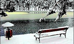 Grupa vitkih borova koji rastu iz gotovo potpuno gole stijene Plava magla se zadržava u uvalama između brda u sumrak Oštri kristali mraza na bodljikavoj žici koja omeđuje planinsko imanje Vjetar tjera oblake u pozadinu preko ruba planinskog masiva Gusta paprat koja u potpunosti prekriva šumsko tlo pod stoljetnim bukvama Suha zlatiborska trava šušti pod koracima na otvorenom polju Tišina planinskog vrha, samo povremeno prekidana kreketanjem vrana - Vjetar tjera oblake u pozadinu preko ruba planinskog masiva Gusta paprat koja u potpunosti prekriva šumsko tlo pod stoljetnim bukvama Suha zlatiborska trava šušti pod koracima na otvorenom polju Tišina planinskog vrha, samo povremeno prekidana kreketanjem vrana Odsjaj sunca na metalnom krovu daleke kolibe usred zelenog prostranstva