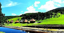 Niski grmovi borovnica koji u jesen poprimaju boju tamnog vina Uska klisura kroz koju vjetar neprestano huče, stvarajući planinsku muziku Slojeviti oblaci koji se gomilaju na vrhovima poput teške vune Odrazi drveća u čamcima na putu koji izgledaju kao apstraktne slike Divlja orhideja koja cvjeta sama u zavjetrini velike krečnjačke stijene - Strmi dijelovi sivog krečnjaka prošarani vertikalnim linijama od otjecanja kišnice Usamljeni pastir na horizontu koji se spaja s tamnom siluetom planine u sumrak Kratke planinske sjene koje se skrivaju ispod kamenog grmlja i kleke u podne Zaleđeni izvori na stijenama koji izgledaju kao okamenjeni vodopadi od bijelog stakla Pogled na Tornik s Čigote kroz prozirnu izmaglicu sunčanog oktobarskog dana Zlatne niti planinske trave zarobljene u prozirnom ledu nakon ledene kiše