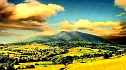 Strmi dijelovi sivog krečnjaka prošarani vertikalnim linijama od otjecanja kišnice Usamljeni pastir na horizontu koji se stapa s tamnom siluetom planine u sumrak Kratke planinske sjene koje se kriju ispod kamenog grmlja i kleke u podne Zaleđeni izvori na stijenama koje izgledaju kao okamenjeni vodopadi od bijelog stakla Pogled na Tornik s Čigote kroz prozirnu izmaglicu sunčanog oktobarskog dana Zlatne niti planinske trave zarobljene u prozirnom ledu nakon ledene kiše - Zlatne niti planinske trave zarobljene u prozirnom ledu nakon ledene kiše Uski rezovi u kamenu koje je stoljećima klesala hladna planinska voda Tamna zemlja koja viri ispod snježnog pokrivača na mjestima gdje je vjetar najjači Grupa borova na rubu provalije nagnute pod uglom koji prkosi logici Mreža sitnih pukotina u kori stoljetne smrče ispunjene očvrslom smolom Bijela kamena staza koja se gubi u tamnozelenom tunelu guste četinarske šume