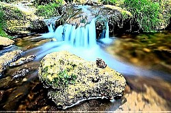Oštre kamene litice Zlatibora koje se okomito spuštaju u dolinu prekrivenu gustom šumom Proplanak prekriven divljim cvijećem na obroncima Zlatibora koji miriše na čisti planinski zrak Zraci svjetlosti koji probijaju krošnje zlatiborskih omorika i osvjetljavaju tajne šumske staze Površina zlatiborskih jezera koja poput ogledala odražava netaknuto plavo nebo Panoramski pogled na zlatna polja zlatiborske trave pod jakim udarima vjetra iz Murtenice - Površina zlatiborskih jezera koja poput ogledala odražava netaknuto plavo nebo Panoramski pogled na zlatna polja zlatiborske trave pod jakim udarima vjetra iz Murtenice Grane zlatiborske kleke s plavim plodovima koji niču direktno iz sivog krečnjaka Krdo stoke pase na Zlatiboru pod visokim liticama koje štite stoku od planinskih oluja Snježni nanosi duž zlatiborskih seoskih puteva koji bacaju duboke sjene u kasno popodne