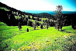 Beskrajna tišina planinskog polja, koju prekida samo daleki zvuk kozokrvine Nisko grmlje koje pod snijegom poprima oblike neobičnih bijelih skulptura Suha stabljika divljeg maka koja viri iz pukotine u kamenoj litici Prstenovi svjetlosti oko vrhova borova u trenutku kada sunce zalazi iza grebena Padina prekrivena hiljadama sitnih šišarki koje pucketaju pod vašim koracima - Oštre kamene litice Zlatibora koje se vertikalno spuštaju prema dolini prekrivenoj gustom šumom Proplanak posut poljskim cvijećem na obroncima Zlatibora koji miriše na čisti planinski zrak Zraci svjetlosti koji probijaju krošnje zlatiborskih smrča i osvjetljavaju tajne šumske staze Površina zlatiborskih jezera koja, poput ogledala, odražavaju netaknuto plavo nebo Panoramski pogled na zlatna polja zlatiborske trave pod jakim udarima vjetra iz Murtenice