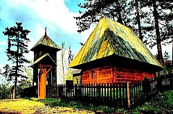 Površina zlatiborskih jezera, koja poput ogledala odražava netaknuto plavo nebo. Panoramski pogled na zlatna polja zlatiborske trave pod jakim udarima vjetra iz Murtenice. Grane zlatiborske kleke s plavim plodovima koji niču direktno iz sivog krečnjaka. Krdo goveda pase na Zlatiboru pod visokim liticama koje štite stoku od planinskih oluja. Snježni nanosi na zlatiborskim seoskim putevima koji bacaju duboke sjene u kasno popodne - zlatiborska izvorska voda koja teče niz stijene prekrivene tamnozelenom vlažnom mahovinom. Usamljeni zlatiborski bor na kamenitom brdu koji prkosi oštrim planinskim zimama. Tragovi mraza na plodovima divljeg gloga pored stare zlatiborske drvene ograde. Visoki vrhovi Zlatibora prekriveni plavičastom izmaglicom u trenutku zalaska sunca. Seosko dvorište na Zlatiboru sa složenim balvanima za dugu i hladnu zimu.