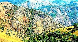 Seosko dvorište na Zlatiboru sa složenim balvanima za dugu i hladnu zimu Put koji nestaje u gustoj zlatiborskoj šumi dok suri orlovi lebde iznad njega Cvjetni tepih ljubičica na rubu zlatiborskih šuma u prvim danima proljeća Zidovi stare zlatiborske kuće koji se polako, ali sigurno stapaju s prirodnim pejzažom Uska zlatiborska klisura s brzim potokom koji stvara bijelu pjenu preko kamenja Padina Zlatibora prekrivena paprati koja u jesen poprima jarku bakrenu boju - Padina Zlatibora prekrivena paprati koja u jesen poprima jarku bakrenu boju Vrhovi zlatiborskih četinara koji strše iznad debelog sloja bijelih oblaka u dolini Mir udaljenih zlatiborskih zaselaka gdje se čini da je vrijeme stalo u prošlom stoljeću Oštar zlatiborski zrak koji prelama svjetlost iznad snježnih planinskih lanaca Crveni šipak na grmovima Zlatibora pored kamenog zida stare planinske kuće Nebo iznad Zlatibora puno je zvijezda iznad tamnih silueta guste šume