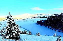 Kružne formacije niskih zlatiborskih borova na čistini koje izgledaju kao prirodna skloništa Bijeli zlatiborski krečnjački sipar koji se strmo spušta niz strmu padinu prema zelenom šiblju Pogled sa zlatiborskih vrhova na planinske lance u daljini koji svjetlucaju u ljubičastim tonovima Zlatiborski ovčar vjerno posmatra stado s vrha kamenitog brda Oštra zlatiborska paprat koja izranja iz šupljina u starim panjevima posječenog drveća - Zlatiborski ovčar vjerno posmatra stado s vrha kamenitog brda Oštra zlatiborska paprat koja izranja iz šupljina u starim panjevima posječenog drveća Divlja zlatiborska jabuka u cvatu usred planinskog pašnjaka okružena apsolutnom tišinom Mali drveni most preko brze rijeke Zlatibor u dubokoj hladovini visokih jela Slojevi suhih zlatiborskih iglica koje skrivaju šumsku stazu i stvaraju meku površinu