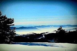 Mahovina na sjevernoj strani kamenog zida stare zlatiborske crkve skrivena u planinskom miru Zlatiborsko sunce izlazi iza masiva Zlatara - Usamljena zlatiborska fontana sa hladnom izvorskom vodom pored krivudavog planinskog puta Vitke zlatiborske bukve sa srebrnastom korom ističu se u četinarskom okruženju Kristali leda na osušenoj zlatiborskoj travi svjetlucaju pod prvim zrakama sunca Duboke brazde na zlatiborskom kamenitom putu okupane obilnim planinskim kišama Kružne formacije niskih zlatiborskih borova na čistini koje izgledaju kao prirodna skloništa i osvjetljavaju duboke planinske doline Kratka zlatiborska trava koja se snažno savija pod jakim udarima vjetra na golom vrhu Visoki orlovi kruže iznad zlatiborskih kanjona tražeći plijen u nepristupačnim liticama Usamljena zlatiborska fontana sa hladnom izvorskom vodom pored vode duž krivudavog planinskog puta -