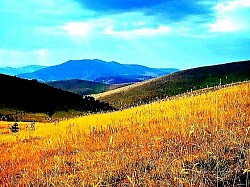 Rub šume gdje se tamnozeleni četinari miješaju sa jarko žutim listovima breze. Pogled na Tornik sa susjednog brda dok žičara probija planinsku tišinu. Velike kapi rose na listovima divljih jagoda skrivenim u visokoj travi. Siva izmaglica koja se drži za jele u kasnim jesenjim popodnevnim satima. Prirodni kameni amfiteatar ispunjen niskim planinskim raslinjem i klekama. Uske kozje staze koje probijaju strme i napete planinske strane. Odrazi mjesečine na zaleđenim padinama koje izgledaju kao liveno srebro. Stare brazde pluga na napuštenim poljima koje je priroda obnovila. Grupa borova na čistini koja izgleda kao prirodni stražari nad provalijom. Žuti lišajevi koji u potpunosti prekrivaju južnu stranu kamenitog grebena. Para se diže s planinskog puta dok se sunce pojavljuje nakon kiše. Neprekidni niz brda koja nestaju u dalekoj izmaglici prema Bosni.