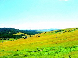 Usamljena planinska staza prekrivena sitnim šljunkom koja vodi u nepoznato Crveni horizont iznad tamnih planinskih kontura u nekoliko minuta prije potpunog mraka Duge ledene svijeće vise sa stijena iznad planinskog puta Srebrnasto perje planinskih trava treperi pri najmanjem dašku vjetra Napušteni kameni bunar usred prostrane livade okružene visokim papratima Tamnozeleni baršunasti tepih od mahovine na južnoj strani vlažne šumske uvale - Tamnozeleni baršunasti tepih od mahovine na južnoj strani vlažne šumske uvale Visoka napetost tišine na vrhu planine gdje se čuje samo vlastiti dah Nanosi suhih grana i lišća koje nosi planinska bujica duž jela Bljesak planinskog izvora koji se prelijeva preko ruba drvenog korita za vodu Tragovi kočnica i plugova na strmom polju koje se spušta pravo u kanjon Meka tekstura jastučića kleke koji izlaze iz suhog zlatiborskog krša