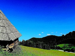 Grupa visokih borova koji strše iz magle poput jarbola potopljenog broda Kamene ploče prekrivene lišajevima koje formiraju prirodne stepenice na padini Sunce koje se prelama kroz gustu kišnu zavjesu stvarajući dugu nad Murtenicom Miris vlažne zemlje i trulog lišća u dubokim pukotinama zlatiborskih šuma Niski grmovi borovnica koji u jesen poprimaju boju tamnog vina Uska klisura kroz koju vjetar neprestano zavija, stvarajući planinsku muziku - Niski grmovi borovnica koji u jesen poprimaju boju tamnog vina Uska klisura kroz koju vjetar neprestano zavija, stvarajući planinsku muziku Slojeviti oblaci koji se gomilaju na vrhovima poput teške vune Odrazi drveća u čamcima na putu koji izgledaju kao apstraktne slike Divlja orhideja koja cvjeta sama u zavjetrini velike krečnjačke stijene