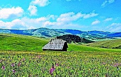 Zaleđeni zlatiborski vodopad na malom potoku koji izgleda kao staklena skulptura usred planinske zime Miris zlatiborske smole širi se zrakom na toploj šumskoj čistini tokom ljetnog popodneva Oštra pukotina u zlatiborskoj kamenoj litici iz koje se izdiže snažan bor, prkoseći surovim planinskim uslovima Uski zlatiborski šumski prolaz kroz koji se u plavkastoj izmaglici nazire udaljeni planinski lanac Nagnuta drvena zlatiborska ograda koja se proteže duž brda dok ne nestane u gustim četinarima - Uski zlatiborski šumski prolaz kroz koji se u plavkastoj izmaglici nazire udaljeni planinski lanac Nagnuta drvena zlatiborska ograda koja se proteže duž brda dok ne nestane u gustim četinarima Vrtlozi zlatiborske magle koji se prelijevaju preko ruba kanjona, stvarajući iluziju bijelog vodopada Tamnozelena površina zlatiborskih četinara ispresijecana je svijetlim linijama hladnih planinskih potoka Stari zlatiborski panj prekriven šarenim gljivama i gustom mahovinom u dubokoj hladovini smrče Zlatiborski krečnjački blokovi razasuti po pašnjaku poput ostataka neke drevne građevine u kršu Zrake zlatiborskog sunca prelamaju se kroz kapi kišnice na oštrim iglicama crnog bora Pogled na zlatiborsko selo Draglica odakle se dimi iz Dimnjak vertikalno probija oštar planinski zrak Divlje zlatiborske kupine puze preko sivih stijena na samom rubu planinskog puta Visoka zlatiborska trava koja se potpuno urušila pod težinom prvog i oštrog jesenjeg mraza Sivi zlatiborski jastreb na suhoj grani koji nepomično osmatra teren planinske visoravni Visoravni na vrhovima zlatiborske Murtenice gdje vjetar oblikuje krošnje drveća u čudne i iskrivljene oblike Podloga od suhih zlatiborskih četinara koja prigušuje svaki zvuk koraka u dubini stoljetne šume Kratke zlatiborske sjene u podne na golom kamenitom vrhu pod savršeno plavim nebom Mekana zlatiborska mahovina koja u potpunosti prekriva korijenje stoljetnih stabala u planinskim pukotinama Mirna zlatiborska dolina ispunjena mirisom divljeg cvijeća i stalnim zujanjem pčela Rub zlatiborske klisure s kojeg se pruža pogled na hiljade nijansi šuma u kanjonu ispod Stara kamena zlatiborska česma iz koje ledena voda teče u rustikalno drveno korito Nebo boje olova iznad snijegom prekrivenih zlatiborskih padina koje najavljuje novu planinsku mećavu Srebrni odraz zlatiborskih rijeka u daljini između dva velika šumovita brda Sitni bijeli cvjetovi kamilice razasuti po suhom zlatiborskom tlu na otvorenim proplancima Grupa visokih zlatiborskih breza koje sijaju poput bijelih stubova u tamnom četinarskom okruženju