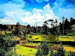 Zlatiborski pastirski pas vjerno čuva stado s vrha kamenitog brda Oštra zlatiborska paprat koja izvire iz udubljenja starih panjeva posječenih stabala Divlja zlatiborska jabuka u cvatu usred planinskog pašnjaka okružena apsolutnom tišinom Mali drveni most preko brzog zlatiborskog potoka u dubokoj sjeni visokih jela Slojevi suhih zlatiborskih četinara koji prekrivaju šumsku stazu i stvaraju meku površinu - Vrh Zlatibora potpuno ogoljen vjetrom, nudeći pogled na cijeli kraj Stari kameni zlatiborski put obrastao lišajevima na rubu zaborava Sjene zlatiborskih borova koje se u sumrak beskrajno protežu preko zlatnih polja Grupa divljih svinja koje u sumrak brzo prelaze zlatiborsku šumsku čistinu Rosa na paukovoj mreži razapetoj između zlatiborskog gloga i drače Sivi suri orao u niskom letu iznad kamenitih pašnjaka i dubokih uvala