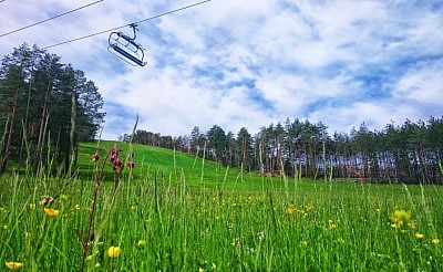 Zlatiborsko zdravlje