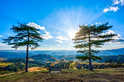 Zlatiborska ruža vjetrova