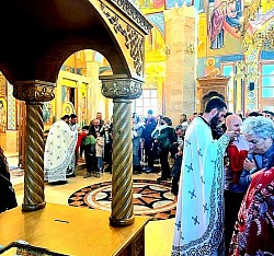 Sveta tajna pričešća u prepunom hramu Svetog Preobraženja Gospodnjeg na Zlatiboru na dan Cveti. Načalstvujući sveštenik, protojerej Miodrag Todorović, pričešćuje decu i verni narod iz svetog putira ispred Carskih dveri, dok saslužuju starešina hrama protojerej Dejan Vojisavljević i đakon Nenad Srećković. Deca zlatiborske parohije sa zvončićima i vrbicama oko vrata u redu pristupaju Svetoj čaši nakon završetka Vaskršnjeg posta. Freske Silaska Svetog Duha na apostole i svetlost koja dopire sa prozora hrama Svetog Preobraženja stvaraju uzvišen molitveni ambijent tokom proslave Ulaska Hristovog u Jerusalim u opštini Čajetina